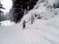 ������� �������� � ����