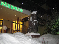 ������� � �������