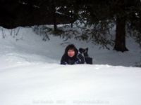 ��� �������� ����� ����