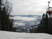  5 .    5F