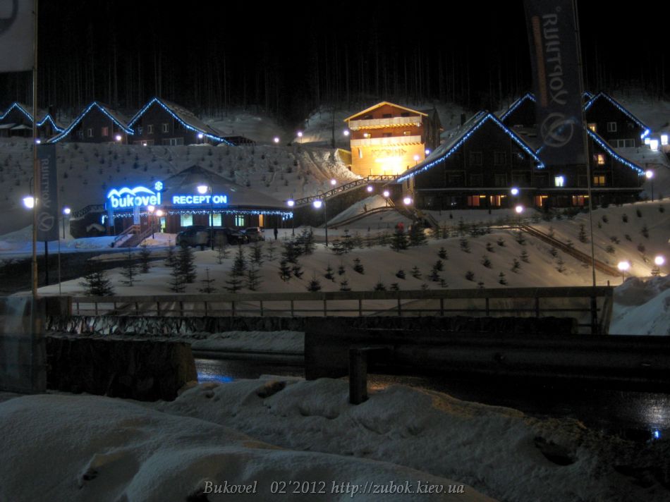IMG_7246.jpg