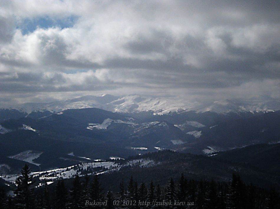 IMG_7309.jpg
