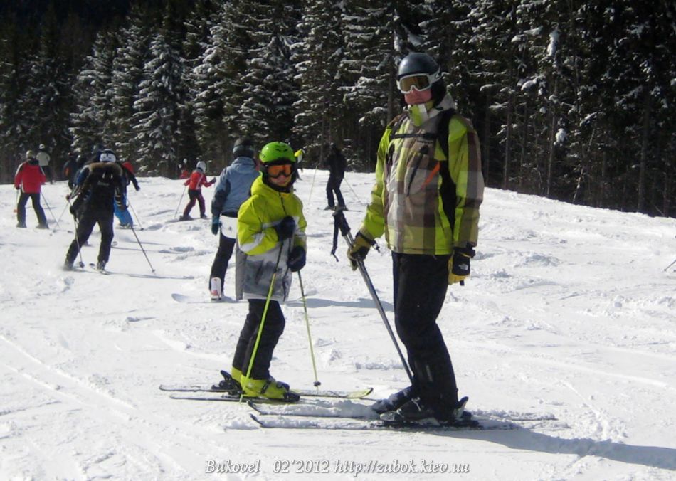 IMG_7334_1.jpg