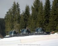IMG_7130.jpg