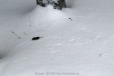 IMG_7149.jpg