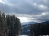 IMG_7173.jpg