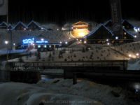 IMG_7246.jpg