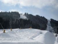 IMG_7292.jpg