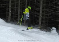 IMG_7307.jpg