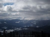 IMG_7309.jpg