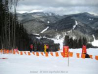 IMG_7321.jpg