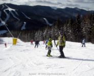 IMG_7334.jpg