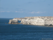 IMG_9420.jpg