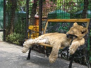 IMG_0031.jpg