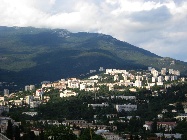 IMG_0240.jpg