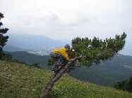 IMG_0472.jpg