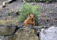 IMG_9999.jpg