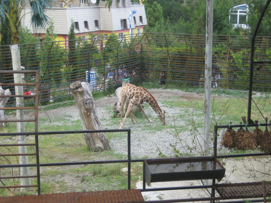 �����. �������.