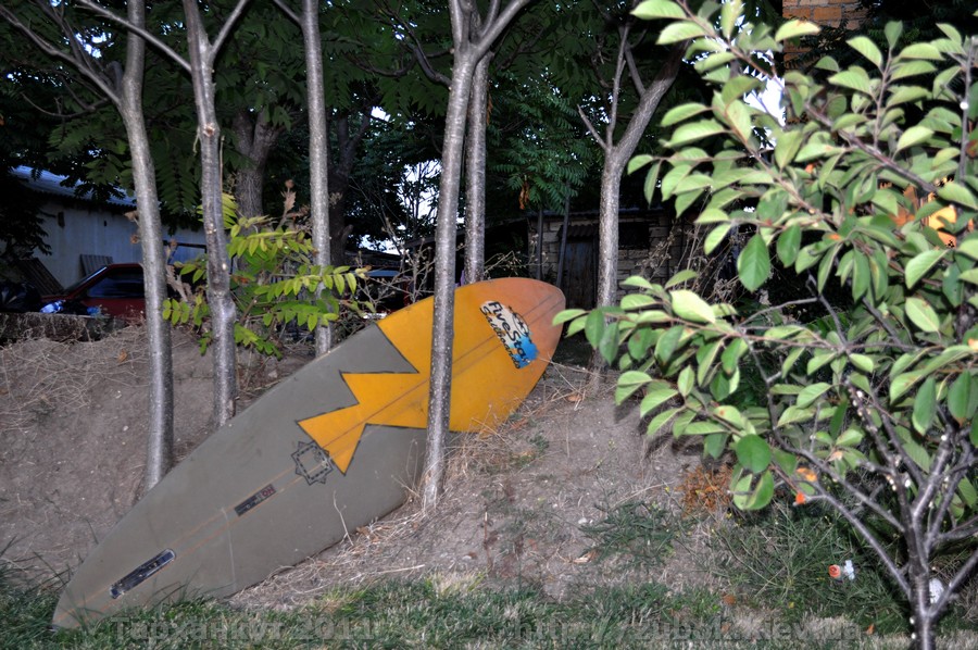    ӣ,    <i>Surf's Up</i>