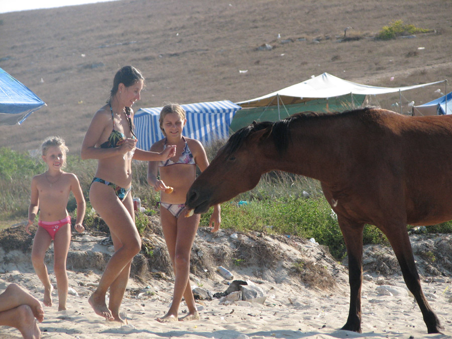 ����������� ������ ���������