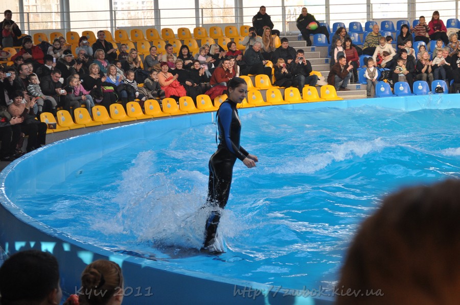 ��� ����� �� ����� ��������