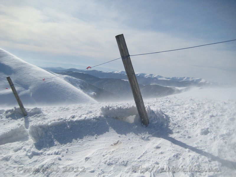 sIMG_6998.jpg