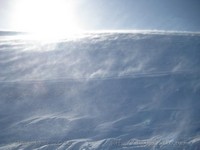 sIMG_7007.jpg