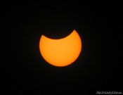 IMG_9088s.jpg