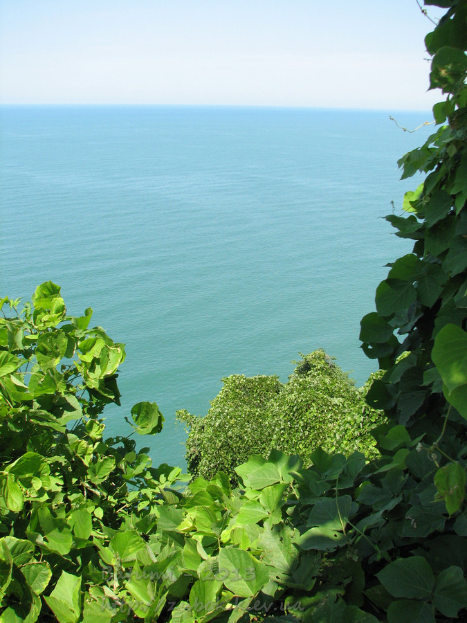 IMG_7963.jpg