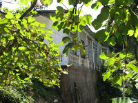 IMG_7952.jpg