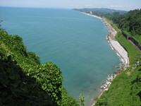 IMG_7959.jpg