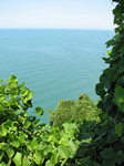 IMG_7963.jpg