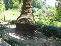 IMG_7964.jpg
