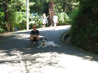 IMG_7972.jpg