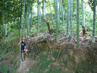 IMG_7978.jpg