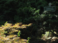 IMG_7997.jpg