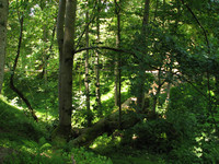 IMG_8004.jpg