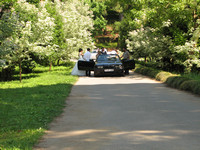 IMG_8020.jpg