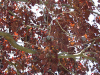 IMG_8025.jpg