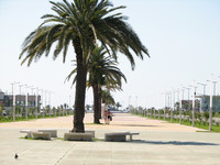      Black Sea Gate