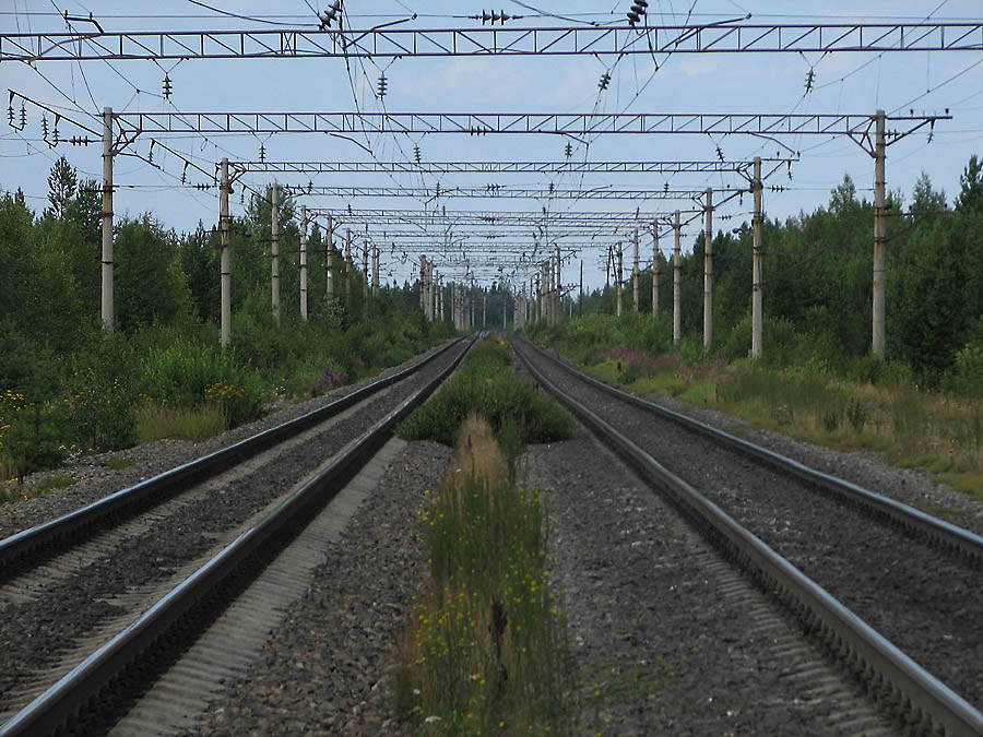 IMG_0835