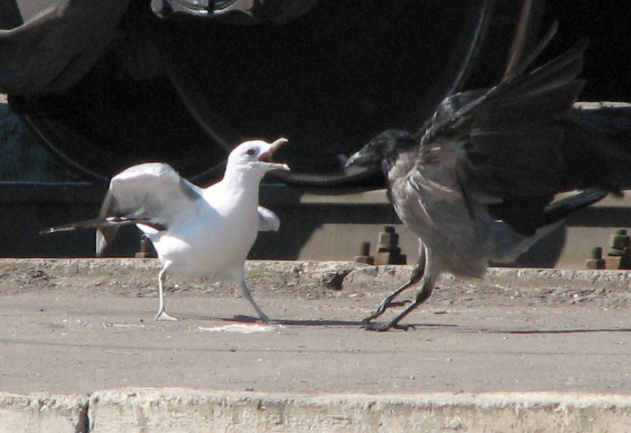 IMG_5292_1.jpg