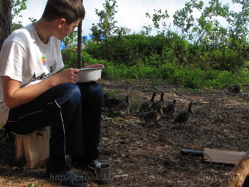 ������� - � ��� �� ����.