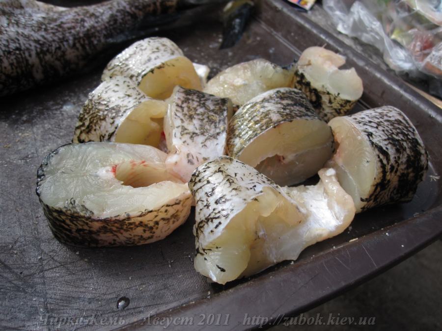 ���� �� ��������