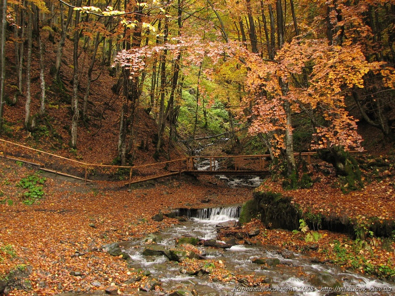 ���������� �����.