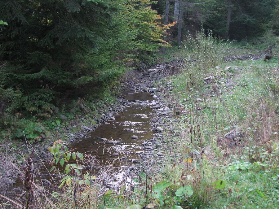 � ����������� �����