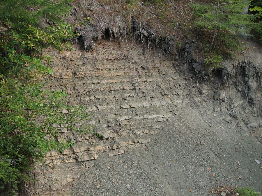 ������ � ������� �������