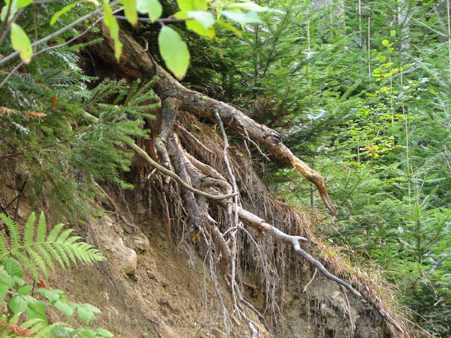 � ����� ��� ������