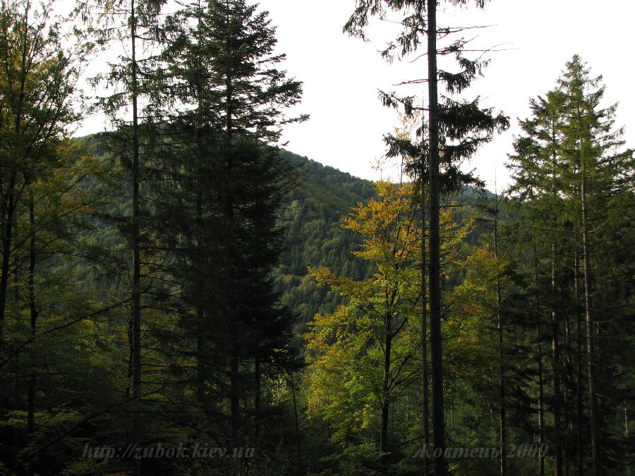 � ����� ��� ������