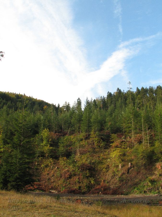 � ����� ��� ������